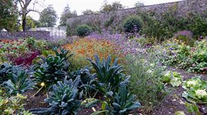 Aberglasney Gardens - credit: Flickr/John Lord (CC by 2.0)